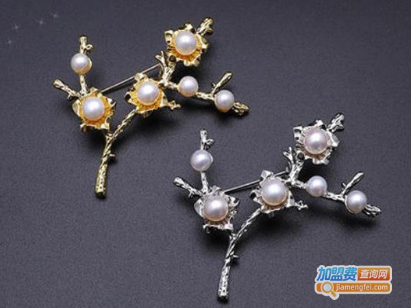 真珠风尚加盟费