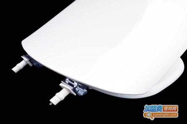 鹰牌马桶盖加盟门店