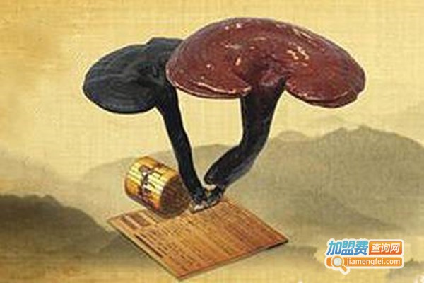 华夏灵芝保健品加盟门店