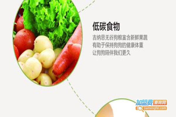 吉纳思