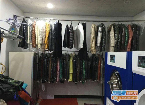 顺洁洗衣加盟费