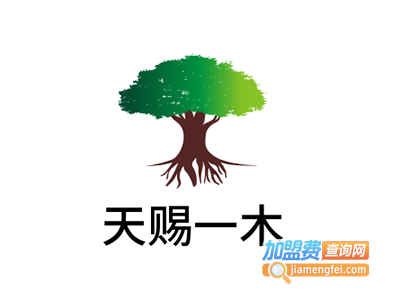 天赐一木加盟费