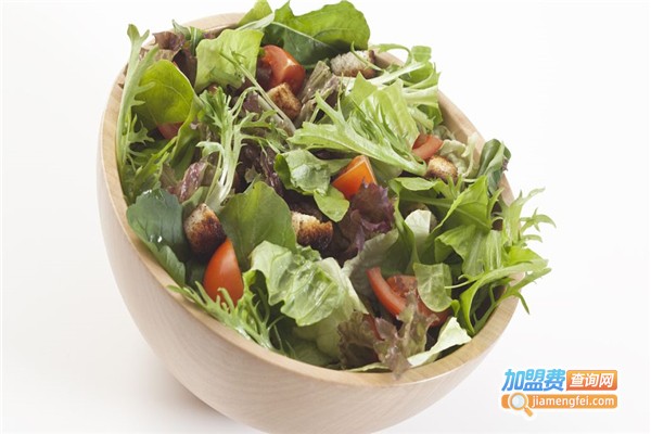 丘比沙拉加盟费