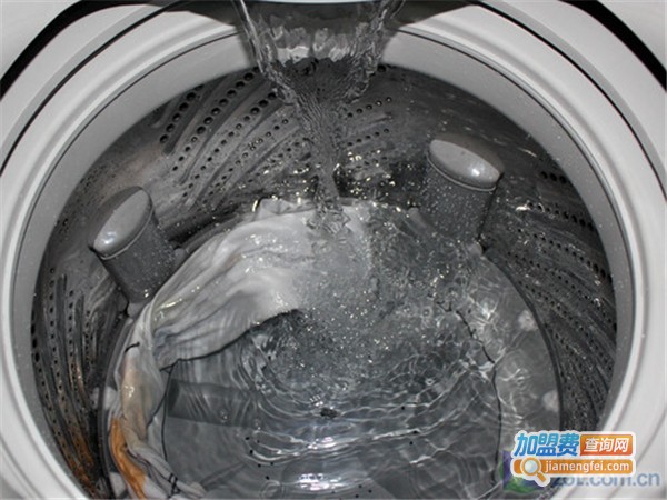 白鲨洗衣加盟费