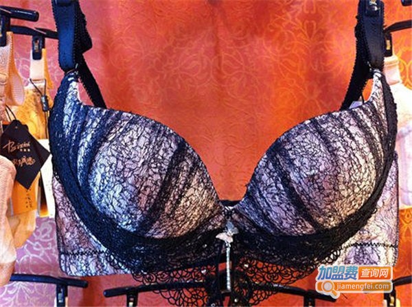 芘茜妮内衣加盟费