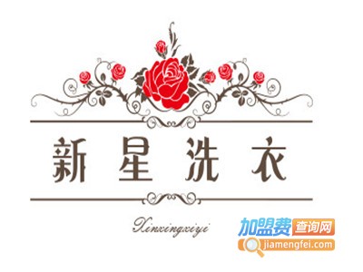 新星洗衣加盟费