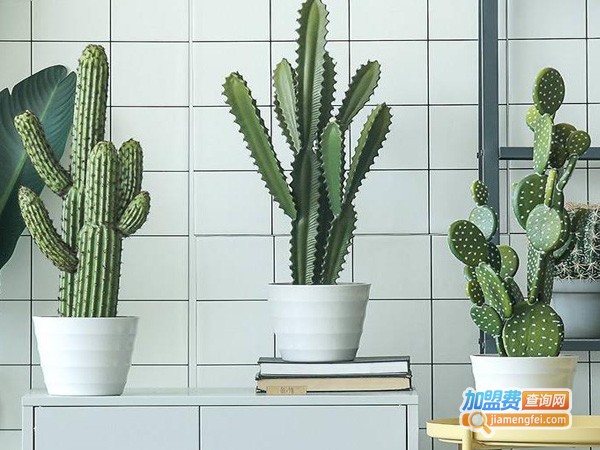 时尚美居家居饰品