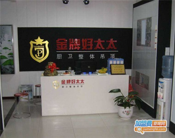 金牌好太太集成吊顶