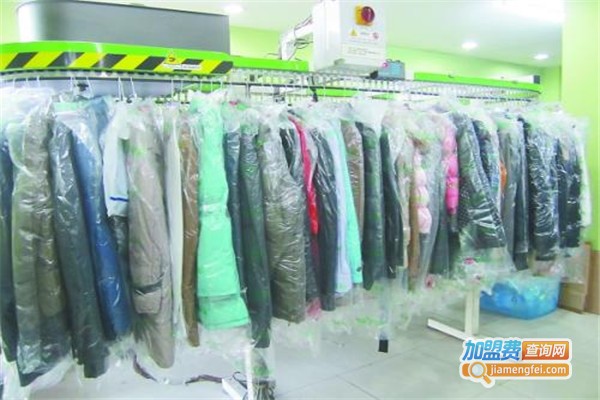 懒猫洗衣加盟费