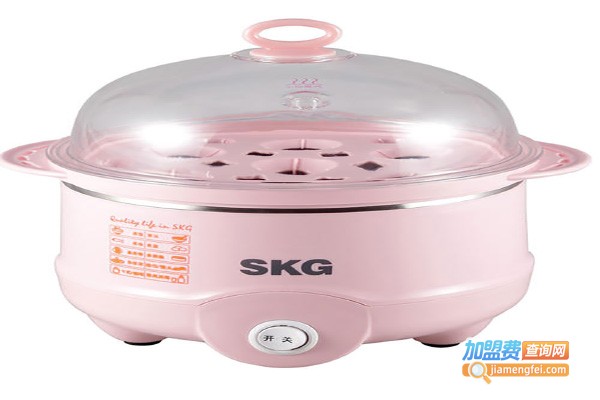 skg电器加盟