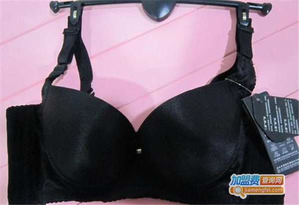 姿媚婷9元内衣加盟费