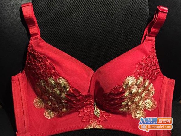 真之魅内衣加盟费