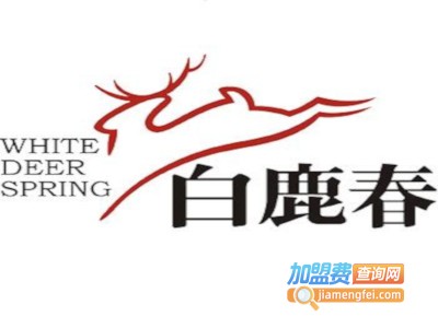 白鹿春鹿酒加盟费