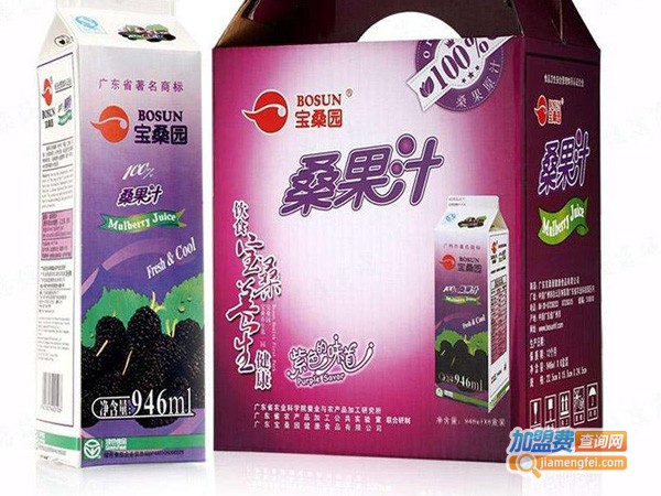 宝桑园桑果汁加盟费