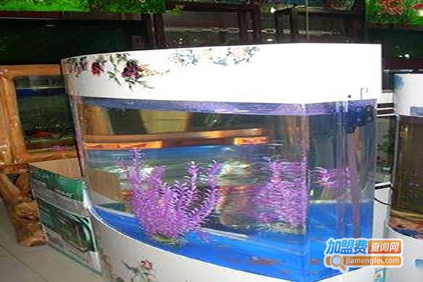 巨金水族用品加盟费