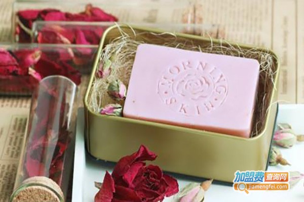 苏舍儿手工皂加盟费