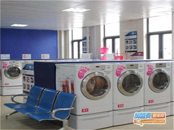 金挚莱洗衣加盟费
