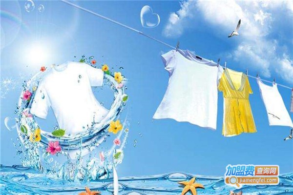 朗尼洗衣加盟费