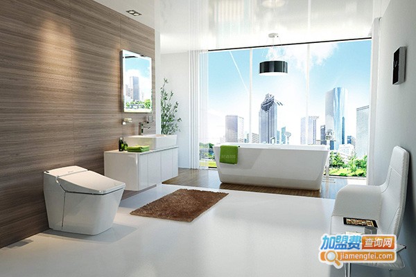 彩宇建材超市加盟门店