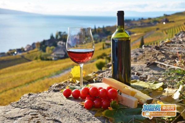 澳特玛葡萄酒加盟费