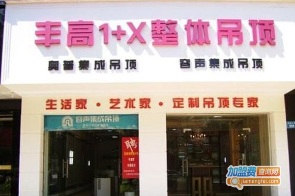 丰高1+X集成吊顶加盟费