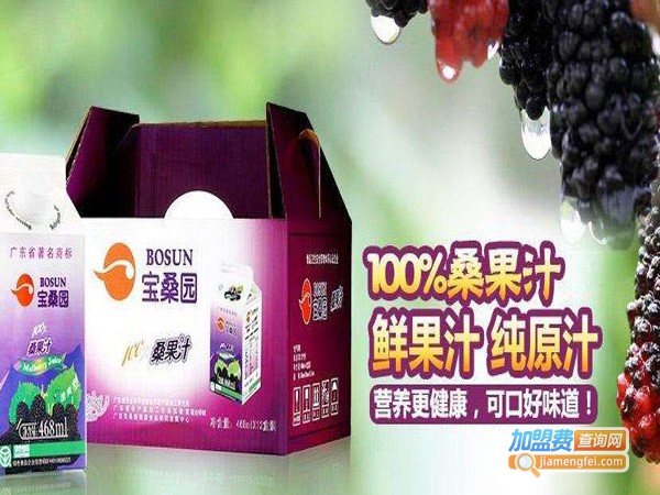 宝桑园桑果汁加盟费