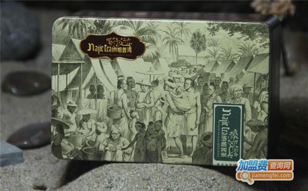 纳姐普洱加盟费