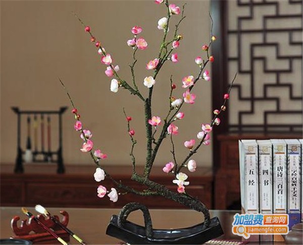 心叶家居饰品加盟费