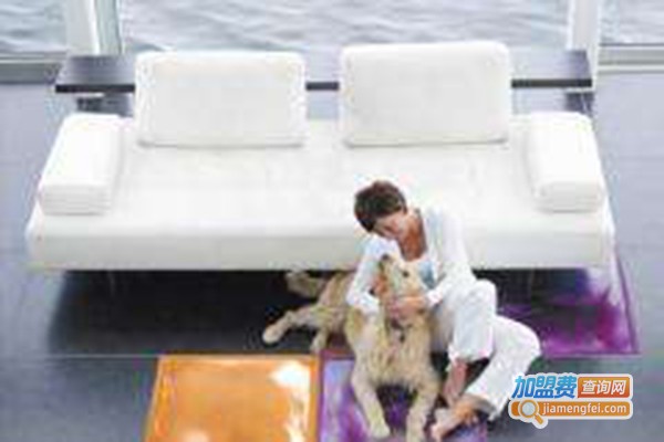 圣弗罗装饰建材加盟门店