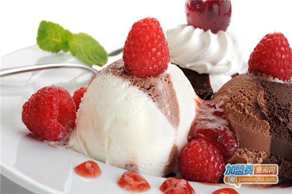 芭琪冰激凌加盟费