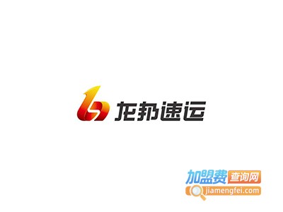 龙邦速递加盟