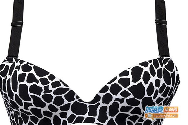 集汇得内衣加盟费