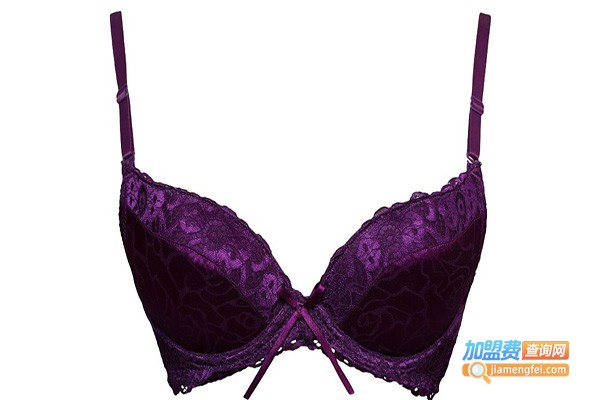 艾妮露丝内衣加盟门店