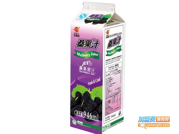 宝桑园桑果汁加盟费