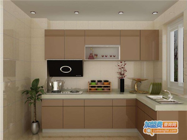 雅迪斯橱柜加盟费