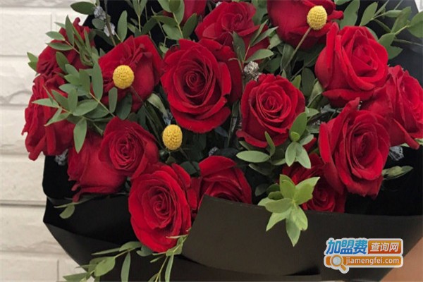 花茗秀卡通生活馆加盟费