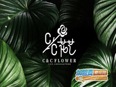 花艺空间家居饰品加盟费