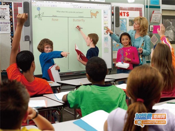 蜂鸟单词速记加盟费