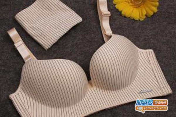 酷林鸟内衣加盟费