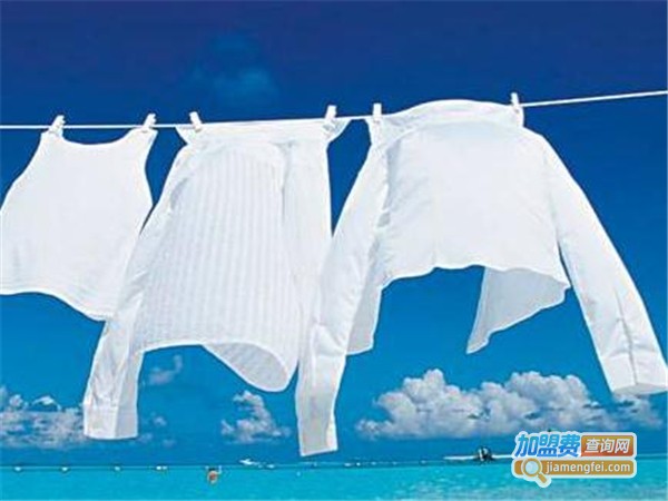 白鲨洗衣加盟费