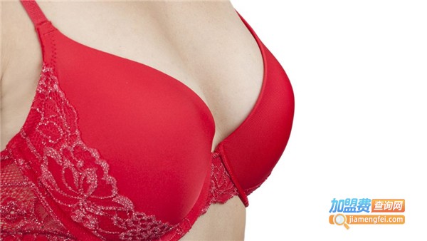 秀丝内语内衣加盟