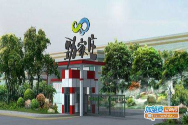 劲家庄保健食品加盟费