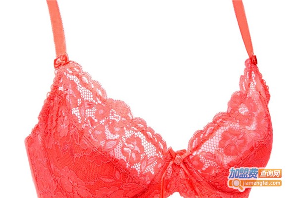 欧丽梦内衣加盟费