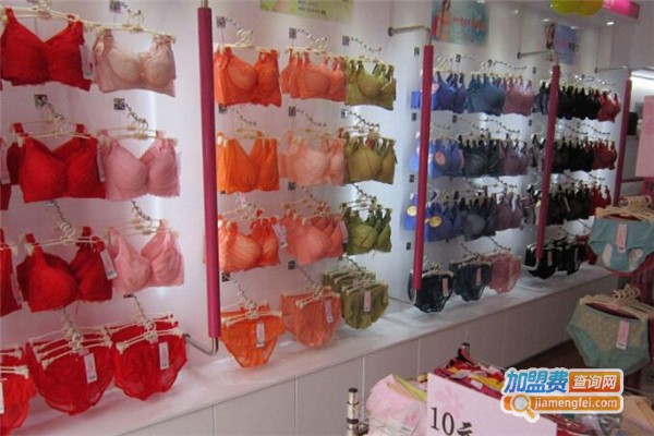 动感丽人加盟费