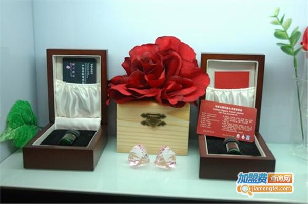 玫瑰人生精油加盟费