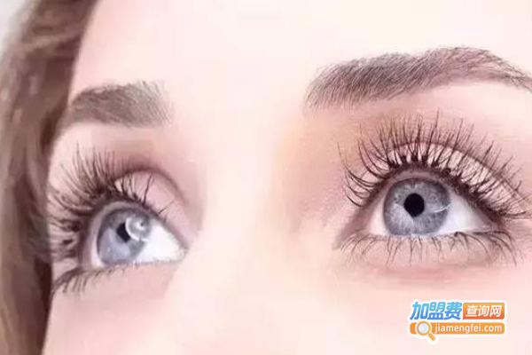 陈学冬视力恢复加盟费