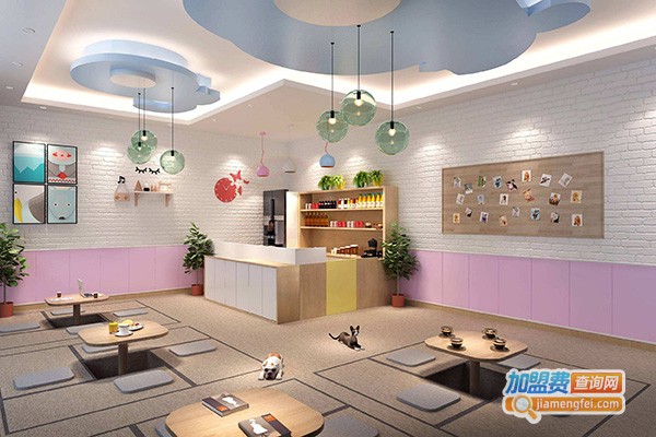 宠艺宠物美容学校加盟门店