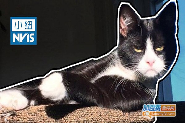 美国纽臣健康管理加盟费