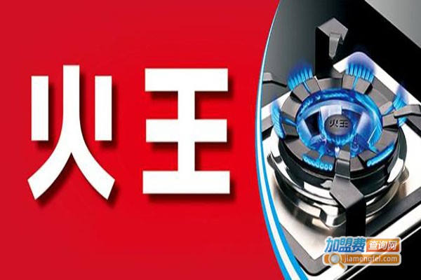 火王厨电加盟费