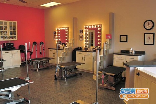 宠艺宠物美容学校加盟门店